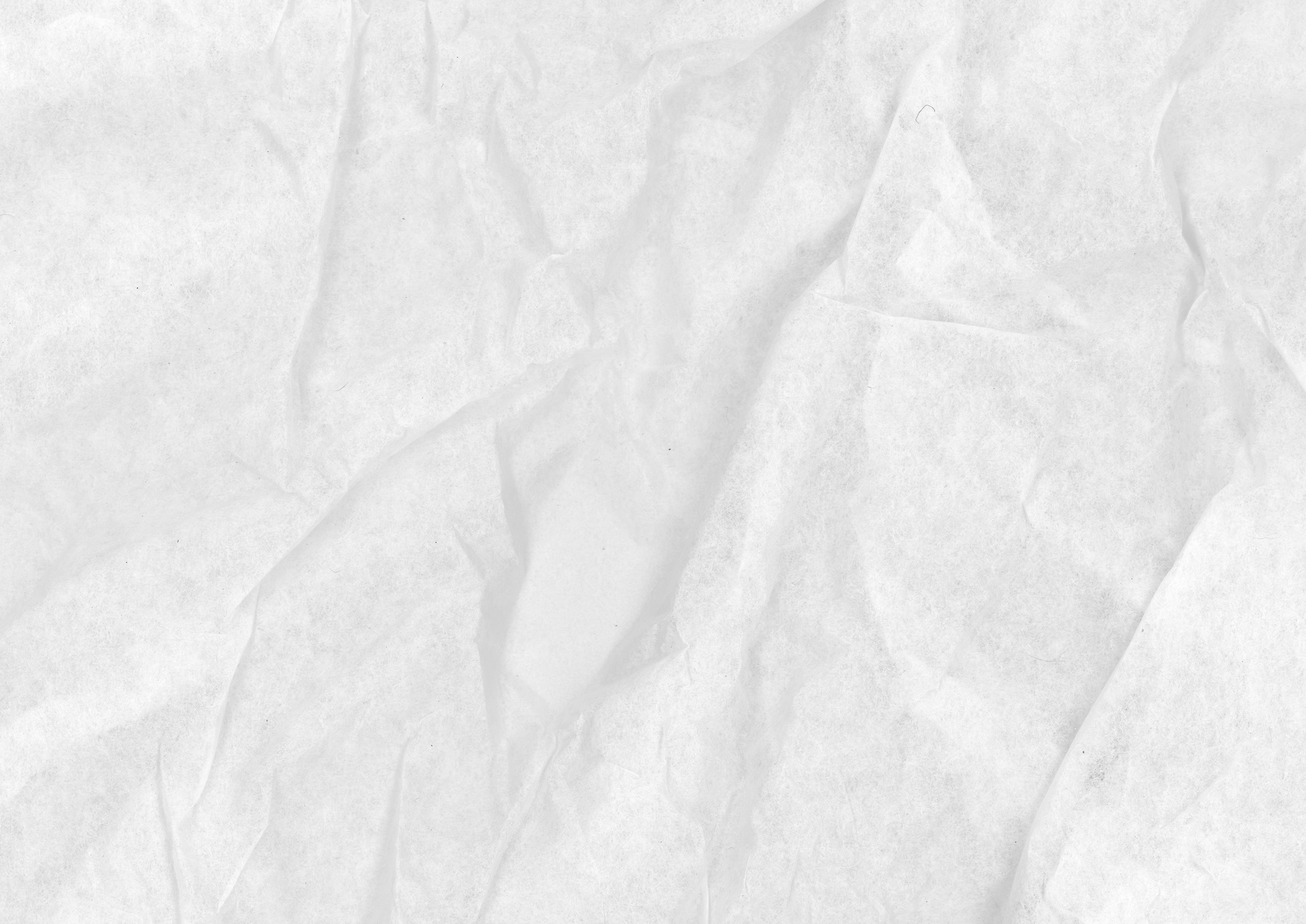 Crumpled White Paperboard